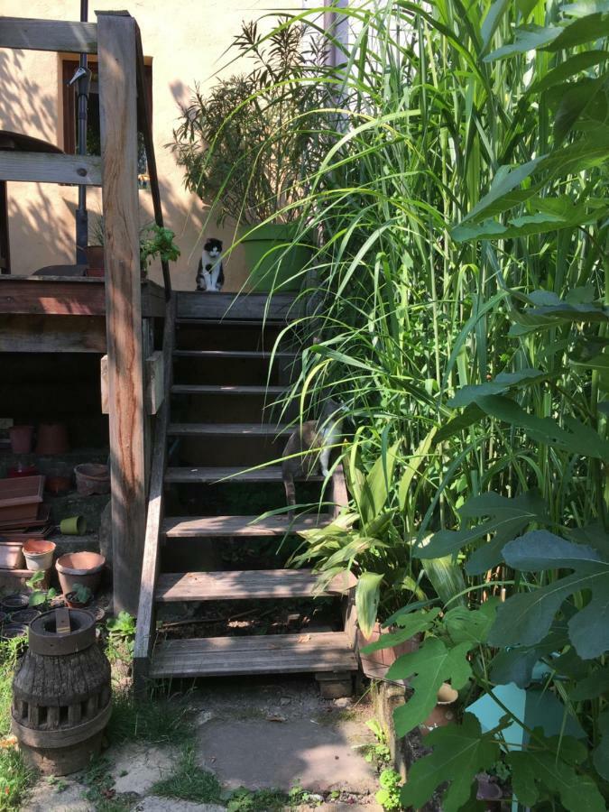 Notre Maison A 엥기쉬하임 외부 사진